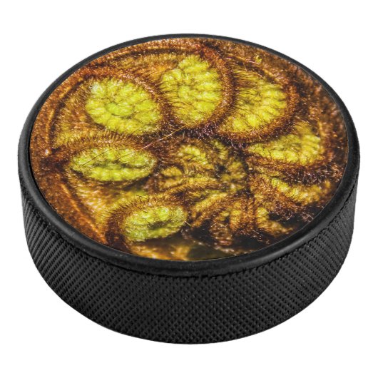 シダ葉 アイスホッケーパック (3/4)