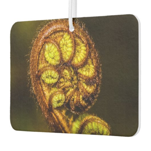 シダ葉 カーエアーフレッシュナー (左)