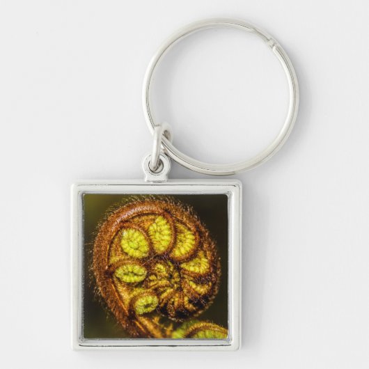 シダ葉 キーホルダー (正面)