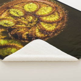 シダ葉 シェルパブランケット