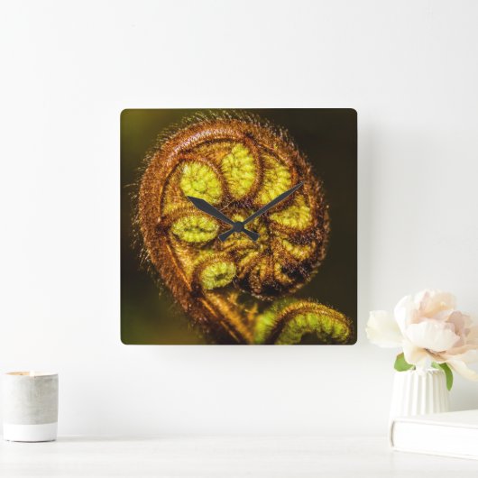 シダ葉 スクエア壁時計 (ホーム)