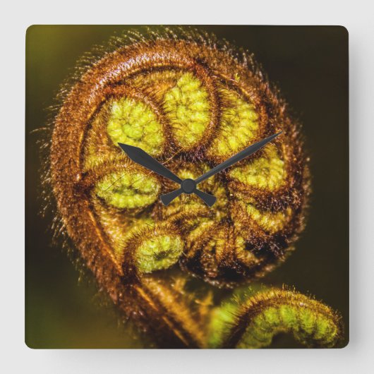 シダ葉 スクエア壁時計 (正面)