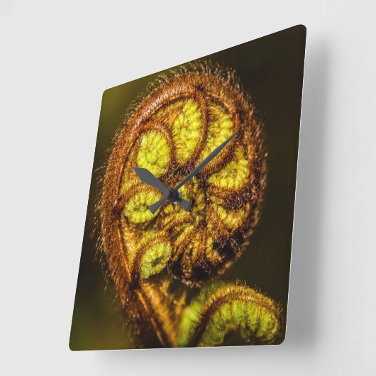 シダ葉 スクエア壁時計 (傾斜)