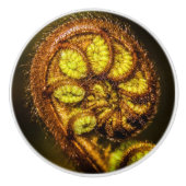 シダ葉 セラミックノブ (正面)