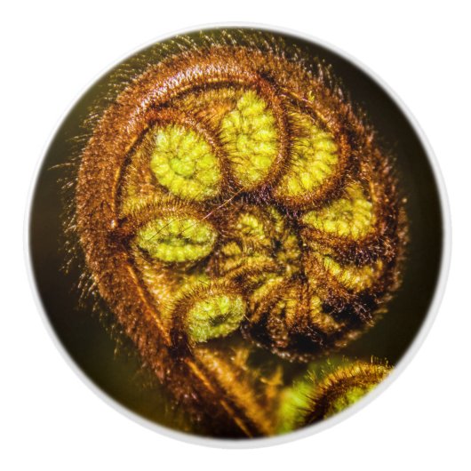 シダ葉 セラミックノブ (正面)