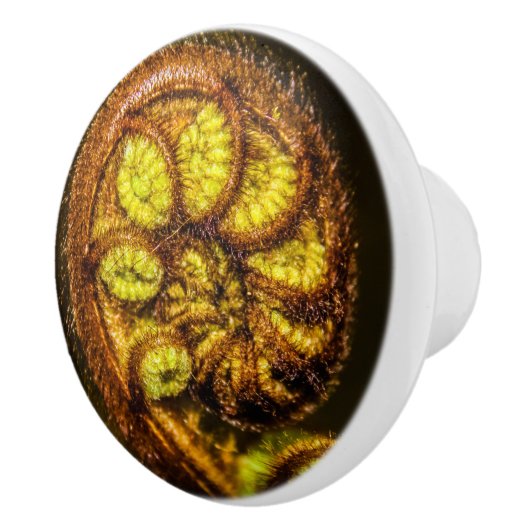 シダ葉 セラミックノブ (右)