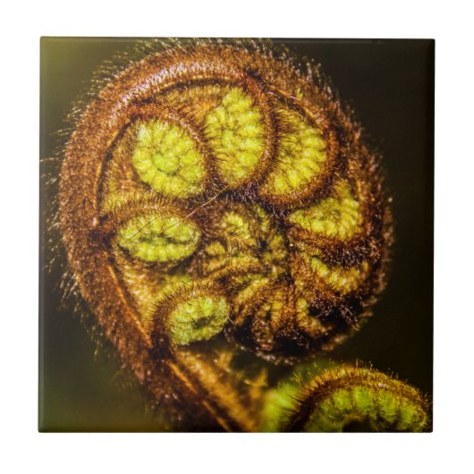 シダ葉 タイル (正面)