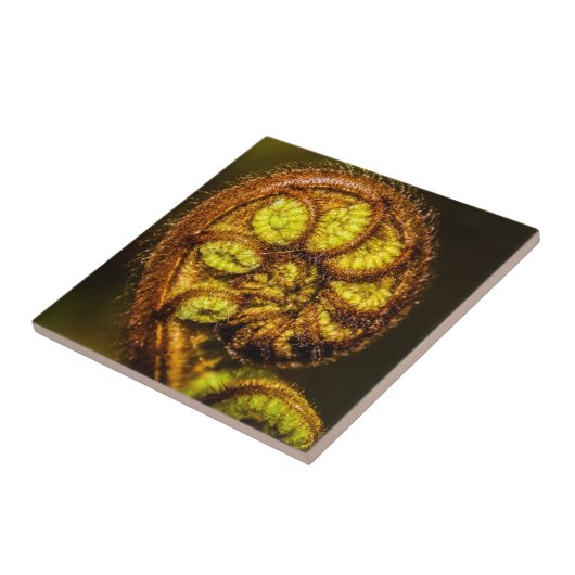 シダ葉 タイル (側面)