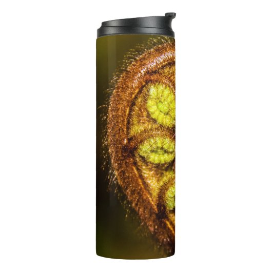 シダ葉 タンブラー (回転左)