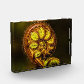 シダ葉 フォトブロック (左)