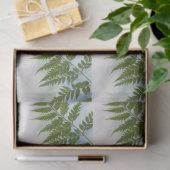 シダ藻場と文字宇宙 薄葉紙 (ギフト)