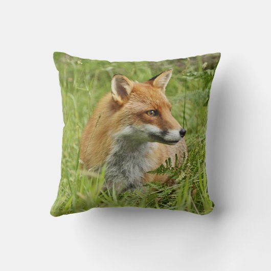 シダ間の美しいアカギツネ クッション (裏面)
