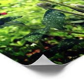 シダ類と春の花 ポスター (角)