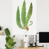 シダ3 ポスター (ホームオフィス)