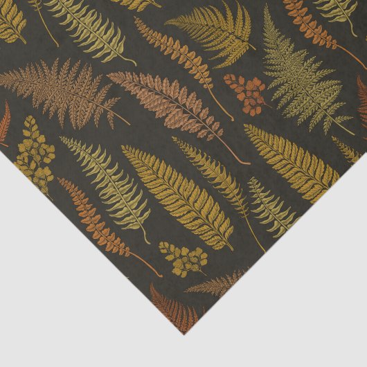 シダ3 薄葉紙 (詳細)