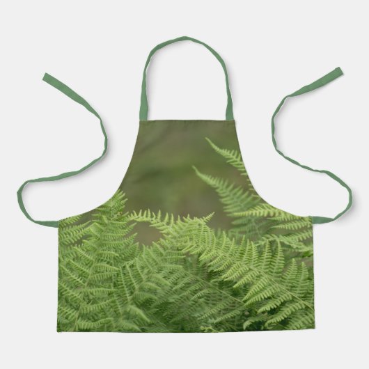 シダ エプロン (正面)