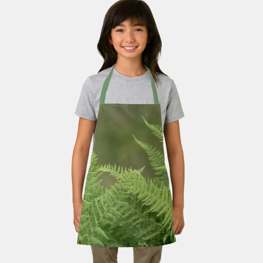 シダ エプロン (インサイチュ)