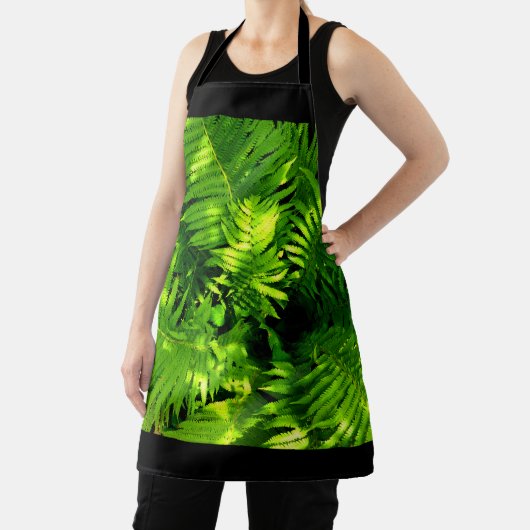 シダ エプロン (インサイチュ)