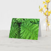 シダ カード (黄色い花)