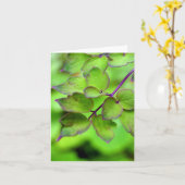 シダ カード (黄色い花)