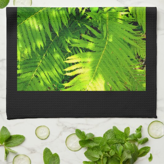 シダ キッチンタオル (折り畳み)