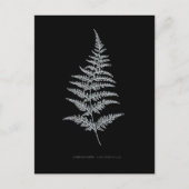 シダ – ギムノグラマChrysophylla.X線効果 – 01 ポストカード (正面)