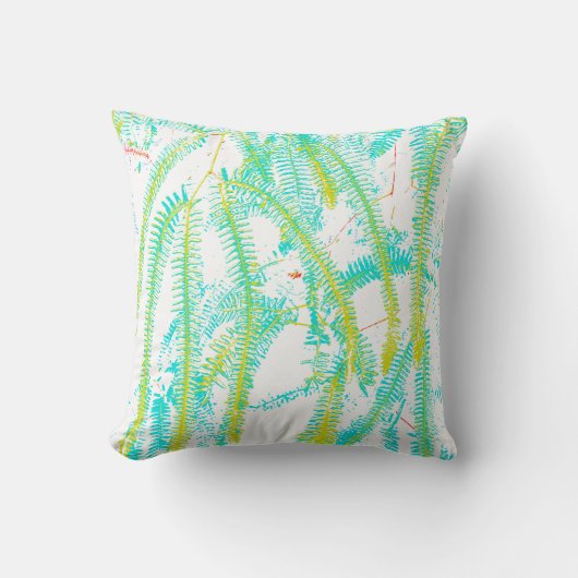 シダ クッション (正面)