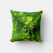 シダ クッション (正面)