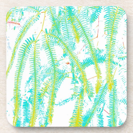 シダ コースター (正面)