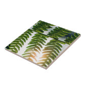 シダ・ゴリー タイル (側面)