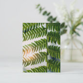 シダ・ゴリー ポストカード (スタンド正面)