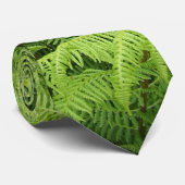 シダ ネクタイ (ロール)