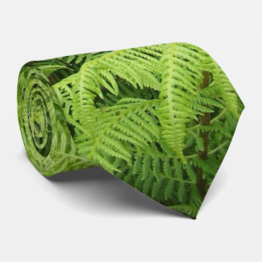 シダ ネクタイ (ロール)