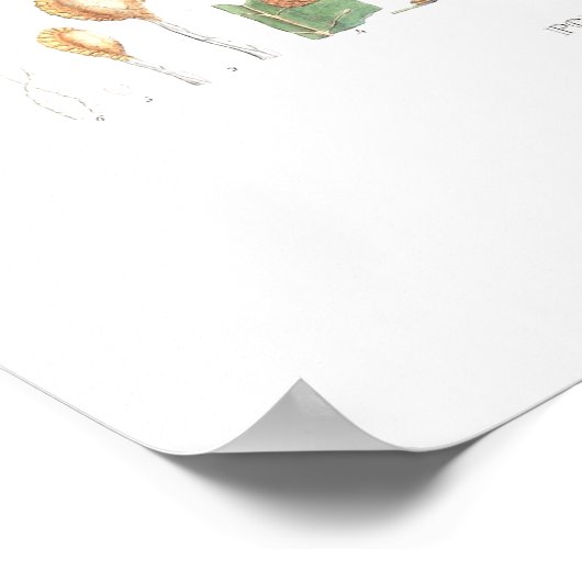 シダ ポスター (角)