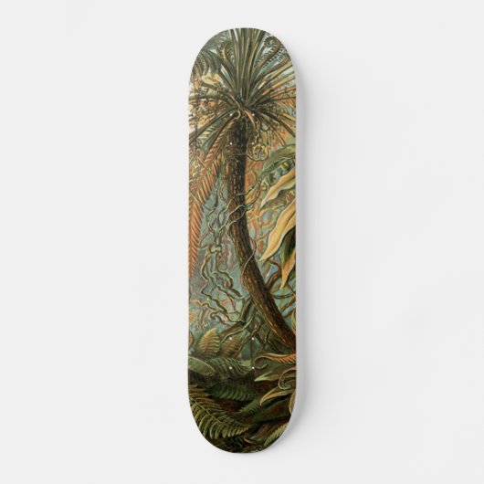 シダ ヤシの木 アンティーク 植物学 シダ アート スケートボード (正面)