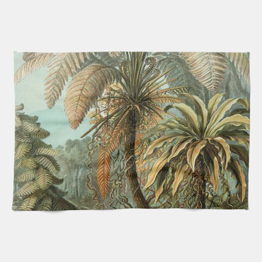 シダ ヤシの木 アンティーク 植物画 シダ アート キッチンタオル (横)
