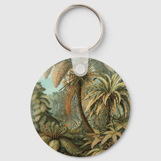 シダ ヤシの木 アンティーク 植物画 シダ アート キーホルダー (正面)