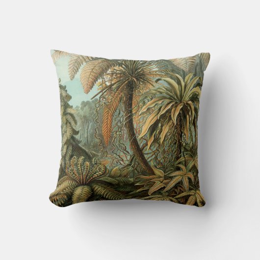 シダ ヤシの木 アンティーク 植物画 シダ アート クッション (正面)
