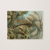 シダ ヤシの木 アンティーク 植物画 シダ アート ジグソーパズル (横)