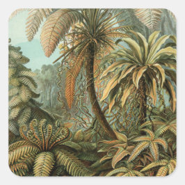 シダ ヤシの木 アンティーク 植物画 シダ アート スクエアシール