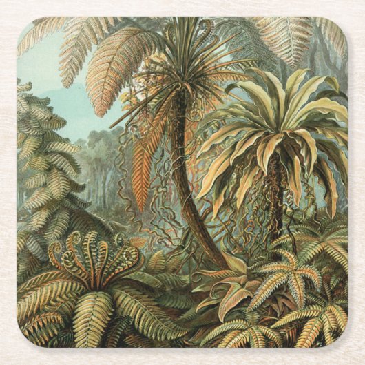シダ ヤシの木 アンティーク 植物画 シダ アート スクエアペーパーコースター (正面)