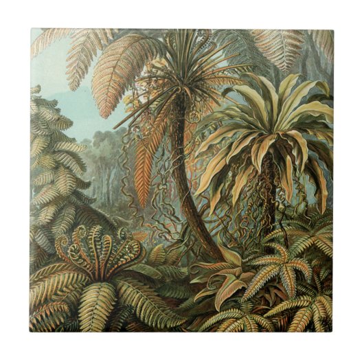 シダ ヤシの木 アンティーク 植物画 シダ アート タイル (正面)