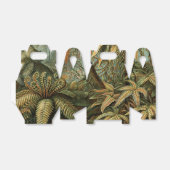 シダ ヤシの木 アンティーク 植物画 シダ アート フェイバーボックス (折り畳みなし)