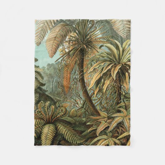 シダ ヤシの木 アンティーク 植物画 シダ アート フリースブランケット (正面)