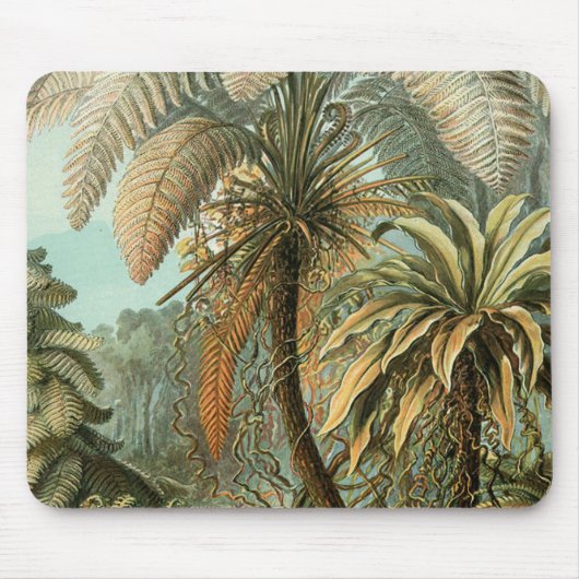 シダ ヤシの木 アンティーク 植物画 シダ アート マウスパッド (正面)