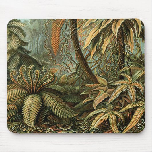 シダ ヤシの木 アンティーク 植物画 シダ アート マウスパッド (正面)