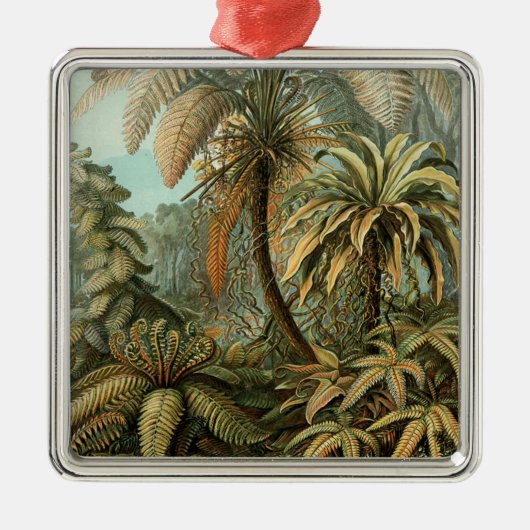 シダ ヤシの木 アンティーク 植物画 シダ アート メタルオーナメント (正面)