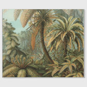シダ ヤシの木 アンティーク 植物画 シダ アート ラッピングペーパー (フラット)