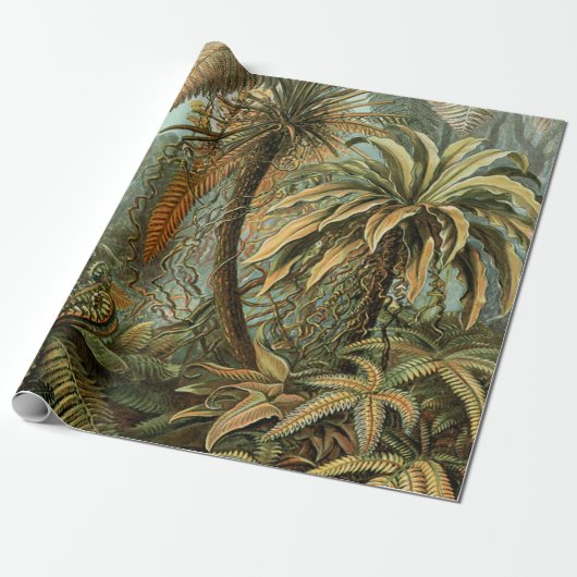 シダ ヤシの木 アンティーク 植物画 シダ アート ラッピングペーパー (アンロールド)