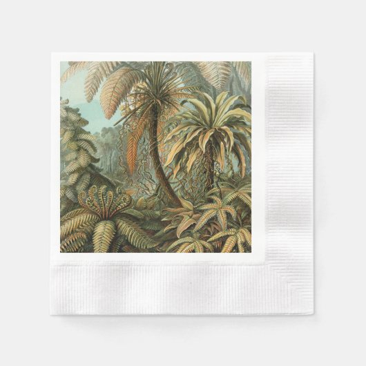 シダ ヤシの木 アンティーク 植物画 シダ アート 縁ありカクテルナプキン (正面)